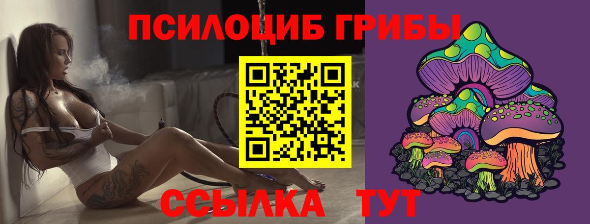 Псилоцибиновые грибы Psilocybe  Вход с VPN  Галлюциногенные грибы мицелий  Ивантеевка 
